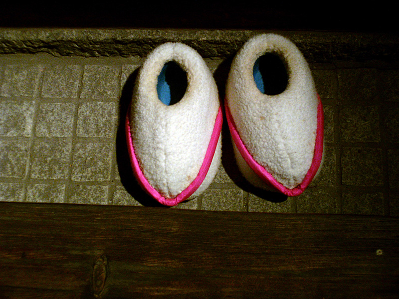 高村智恵子レモン祭その1